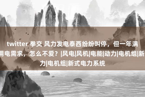 twitter 拳交 风力发电泰西纷纷叫停，但一年满足4万家庭用电需求，怎么不爱？|风电|风机|电能|动力|电机组|新式电力系统