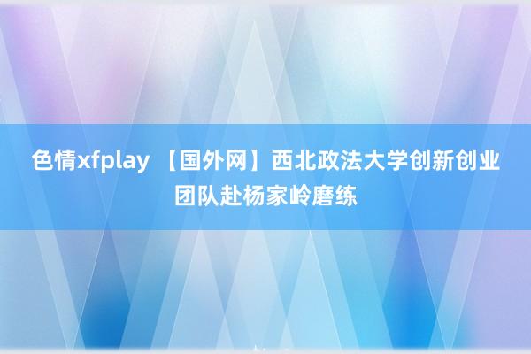 色情xfplay 【国外网】西北政法大学创新创业团队赴杨家岭磨练