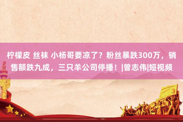 柠檬皮 丝袜 小杨哥要凉了？粉丝暴跌300万，销售额跌九成，三只羊公司停播！|曾志伟|短视频