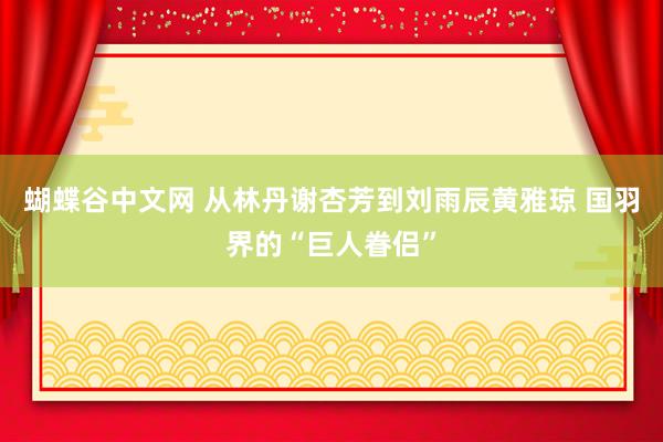 蝴蝶谷中文网 从林丹谢杏芳到刘雨辰黄雅琼 国羽界的“巨人眷侣”