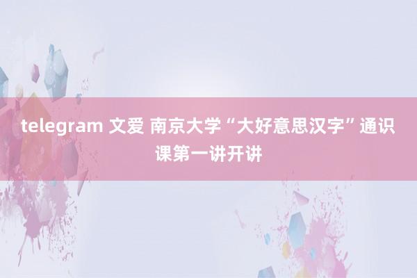 telegram 文爱 南京大学“大好意思汉字”通识课第一讲开讲