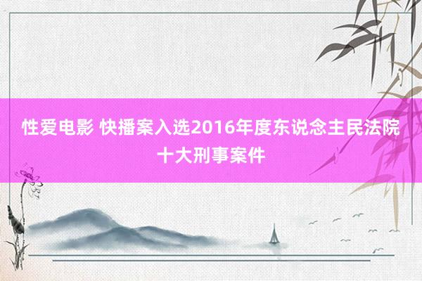 性爱电影 快播案入选2016年度东说念主民法院十大刑事案件