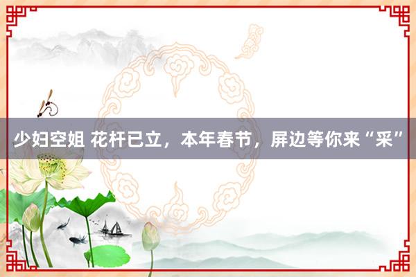 少妇空姐 花杆已立，本年春节，屏边等你来“采”