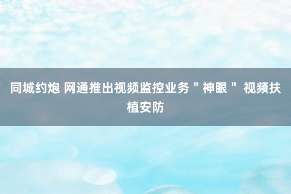 同城约炮 网通推出视频监控业务＂神眼＂ 视频扶植安防