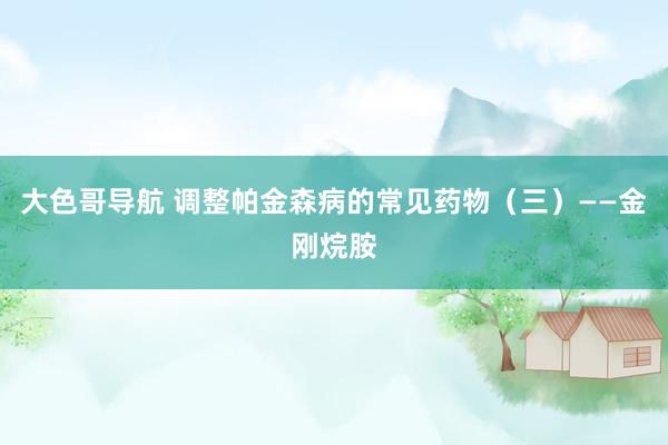 大色哥导航 调整帕金森病的常见药物（三）——金刚烷胺