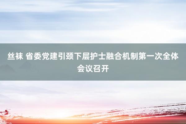 丝袜 省委党建引颈下层护士融合机制第一次全体会议召开