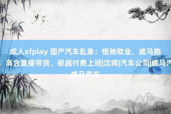 成人xfplay 国产汽车乱象：恒驰歇业，威马跑路，高合直播带货，极越付费上班|沈晖|汽车公司|威马汽车