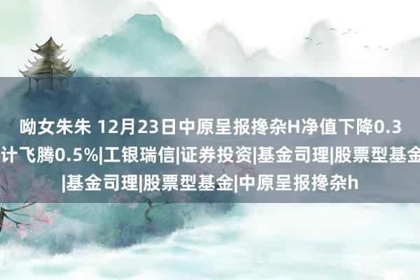 呦女朱朱 12月23日中原呈报搀杂H净值下降0.33%，近1