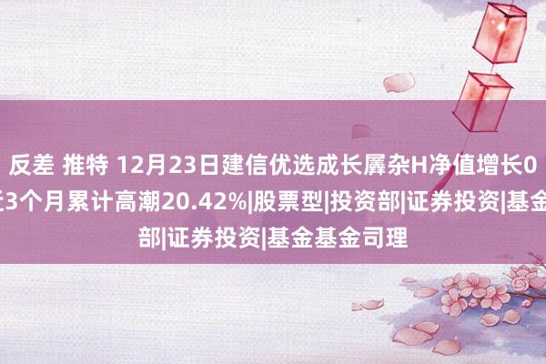 反差 推特 12月23日建信优选成长羼杂H净值增长0.09%