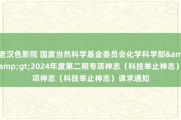 老汉色影院 国度当然科学基金委员会化学科学部&lt;