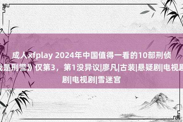 成人xfplay 2024年中国值得一看的10部刑侦剧：《我