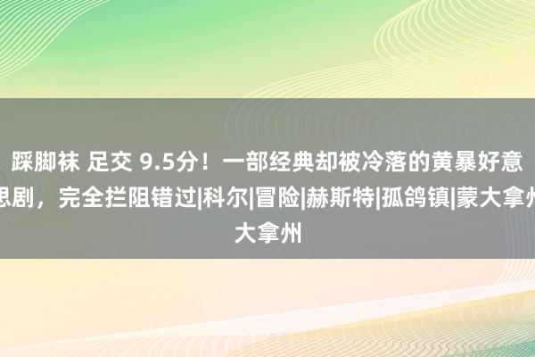 踩脚袜 足交 9.5分！一部经典却被冷落的黄暴好意思剧，完全